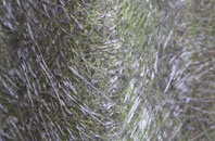 Portsea Island fibreglass roof work